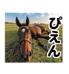 【競馬スタンプ】競走馬と騎手1（個別スタンプ：26）