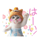あなたのねこベイビー♡癒し♡かわいい♡（個別スタンプ：7）