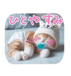 あなたのねこベイビー♡癒し♡かわいい♡（個別スタンプ：14）