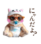 あなたのねこベイビー♡癒し♡かわいい♡（個別スタンプ：19）
