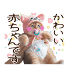 あなたのねこベイビー♡癒し♡かわいい♡（個別スタンプ：27）