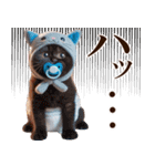あなたのねこベイビー♡癒し♡かわいい♡（個別スタンプ：32）