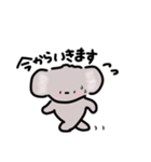 こあらさんの日常スタンプ（個別スタンプ：20）