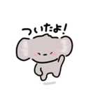 こあらさんの日常スタンプ（個別スタンプ：21）
