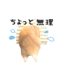 ▽▼からあげしゃんすたんぷ▽▼（個別スタンプ：2）