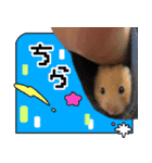 ▽▼からあげしゃんすたんぷ▽▼（個別スタンプ：11）