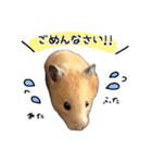 ▽▼からあげしゃんすたんぷ▽▼（個別スタンプ：16）