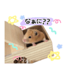 ▽▼からあげしゃんすたんぷ▽▼（個別スタンプ：20）