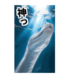 リアル白蛇ミームあけおめ改訂版（個別スタンプ：12）