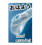 リアル白蛇ミームあけおめ改訂版（個別スタンプ：13）