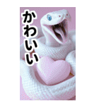 リアル白蛇ミームあけおめ改訂版（個別スタンプ：24）