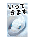 リアル白蛇ミームあけおめ改訂版（個別スタンプ：29）