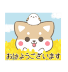 飛び出す！ねことシマエナガとわんこ 春（個別スタンプ：1）