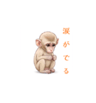 子ザルの冒険（個別スタンプ：7）