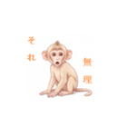 子ザルの冒険（個別スタンプ：11）