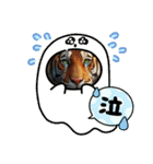 タイガー①。。（個別スタンプ：10）