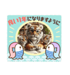 タイガー①。。（個別スタンプ：12）