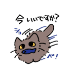 ねこやなぎ 春・新生活のすがた（個別スタンプ：13）