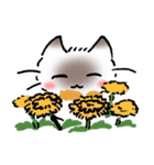 ねこやなぎ 春・新生活のすがた（個別スタンプ：35）