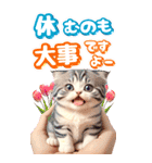 【BIG】春♡お花♡桜♡ねこ (心づかい)（個別スタンプ：7）