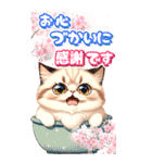 【BIG】春♡お花♡桜♡ねこ (心づかい)（個別スタンプ：16）