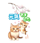 【BIG】春♡お花♡桜♡ねこ (心づかい)（個別スタンプ：25）