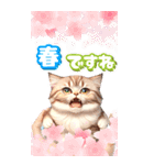 【BIG】春♡お花♡桜♡ねこ (心づかい)（個別スタンプ：27）