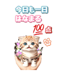 【BIG】春♡お花♡桜♡ねこ (心づかい)（個別スタンプ：30）