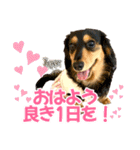 Love＆Sara3（個別スタンプ：1）