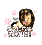 Love＆Sara3（個別スタンプ：4）