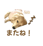 Love＆Sara3（個別スタンプ：9）