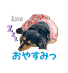 Love＆Sara3（個別スタンプ：10）