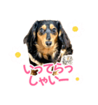 Love＆Sara3（個別スタンプ：11）