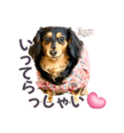 Love＆Sara3（個別スタンプ：12）