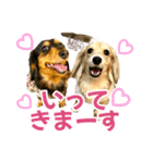 Love＆Sara3（個別スタンプ：13）
