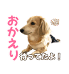 Love＆Sara3（個別スタンプ：14）