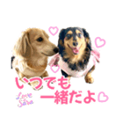 Love＆Sara3（個別スタンプ：15）