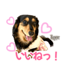 Love＆Sara3（個別スタンプ：17）