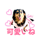 Love＆Sara3（個別スタンプ：18）