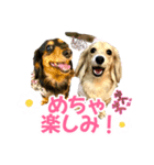 Love＆Sara3（個別スタンプ：19）