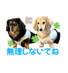 Love＆Sara3（個別スタンプ：22）