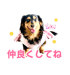 Love＆Sara3（個別スタンプ：24）