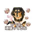Love＆Sara3（個別スタンプ：25）