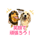 Love＆Sara3（個別スタンプ：26）