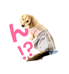 Love＆Sara3（個別スタンプ：31）