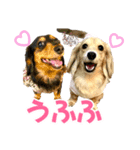 Love＆Sara3（個別スタンプ：32）