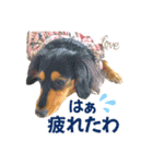 Love＆Sara3（個別スタンプ：35）