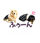 Love＆Sara3（個別スタンプ：36）