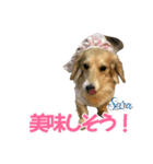 Love＆Sara3（個別スタンプ：37）