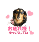 Love＆Sara3（個別スタンプ：39）